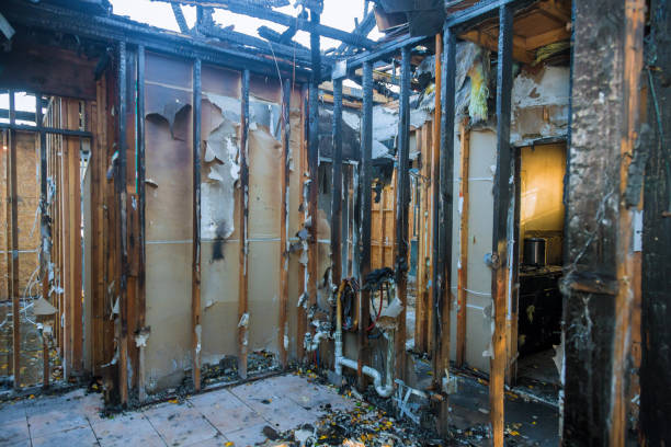 Professional Smoke Damage Removal technician working in Bowie, TX